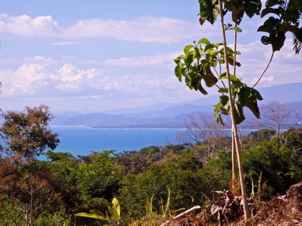 15-acres-pavones-with-expansive-ocean-views