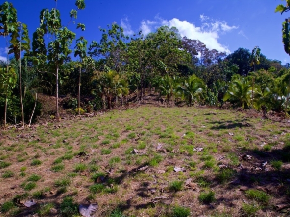 15-acres-pavones-with-expansive-ocean-views