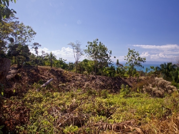 15-acres-pavones-with-expansive-ocean-views