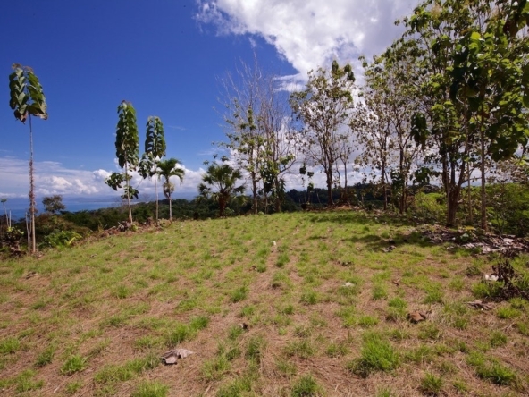 15-acres-pavones-with-expansive-ocean-views