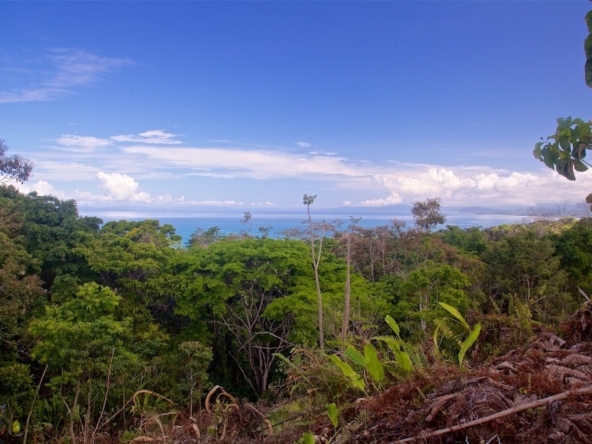 15-acres-pavones-with-expansive-ocean-views