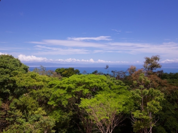 15-acres-pavones-with-expansive-ocean-views