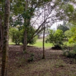 hidden-refuge-above-pavones-7.7-beautiful-acres