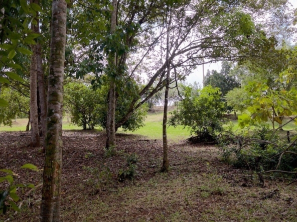 hidden-refuge-above-pavones-7.7-beautiful-acres