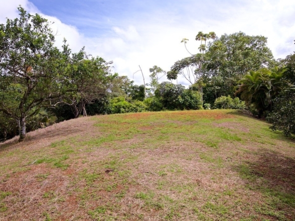 hidden-refuge-above-pavones-7.7-beautiful-acres