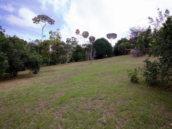 hidden-refuge-above-pavones-7.7-beautiful-acres