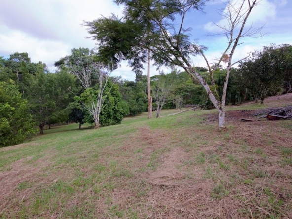 hidden-refuge-above-pavones-7.7-beautiful-acres