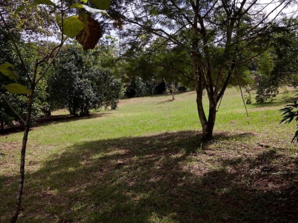 hidden-refuge-above-pavones-7.7-beautiful-acres