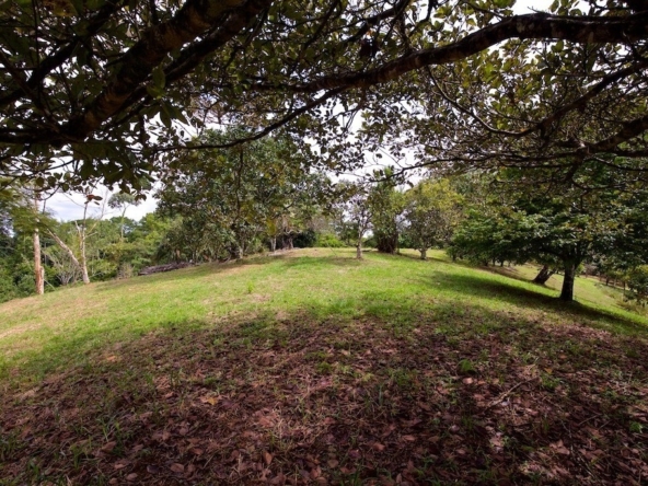 hidden-refuge-above-pavones-7.7-beautiful-acres