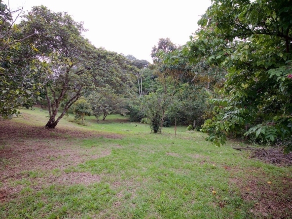 hidden-refuge-above-pavones-7.7-beautiful-acres