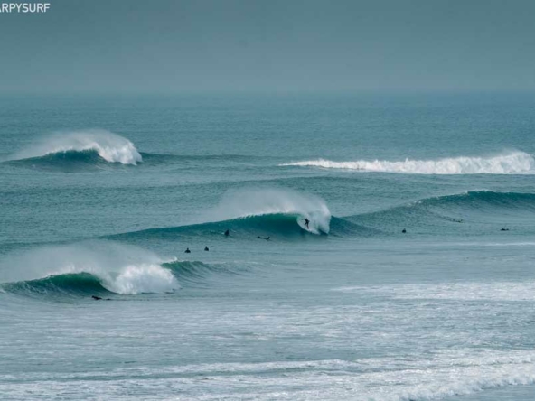 copyright_Sharpy_north-firstral-beach-surf-peaks