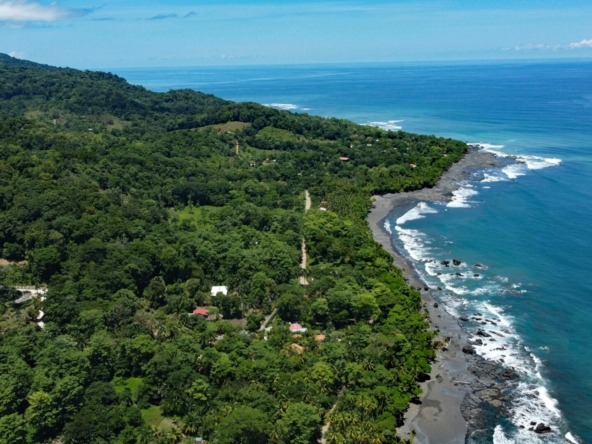 la-pina-villa-in-pavones