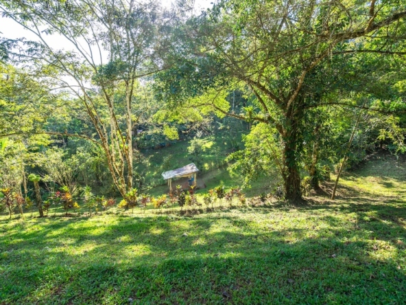luxurious-eco-resort-dominical