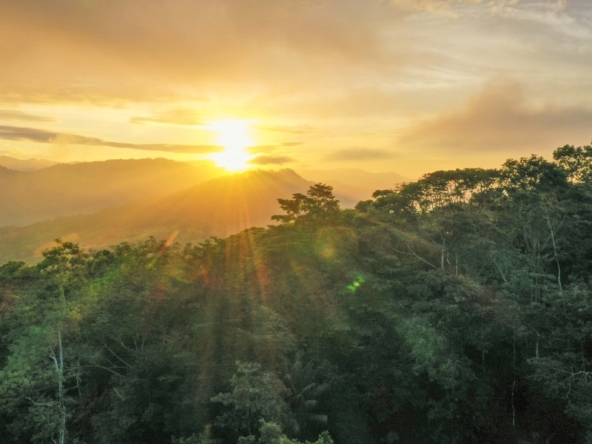 luxurious-eco-resort-dominical