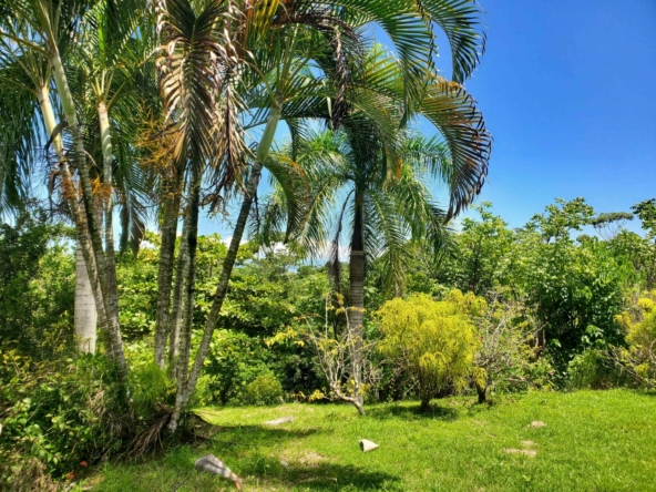 pavones-titled-lot-close-to-the-beach