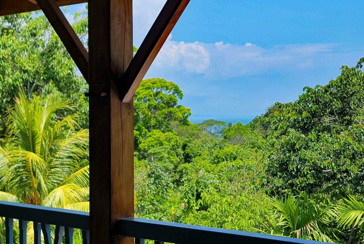 pilon-villa-with-3-rentals-and-river
