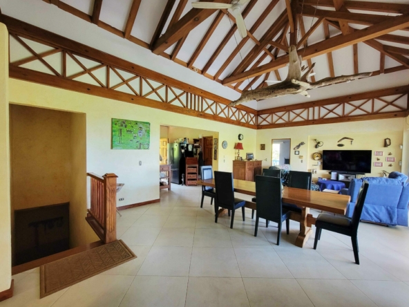 pilon-villa-with-3-rentals-and-river