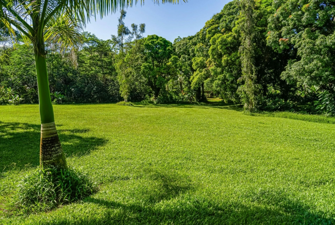 spectacular-hanalei-kauai-property