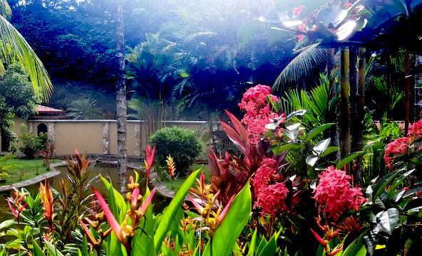 pavones-beach-resort-costa-rica