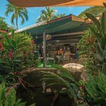 titled-beachfront-hotel-playas-del-coco