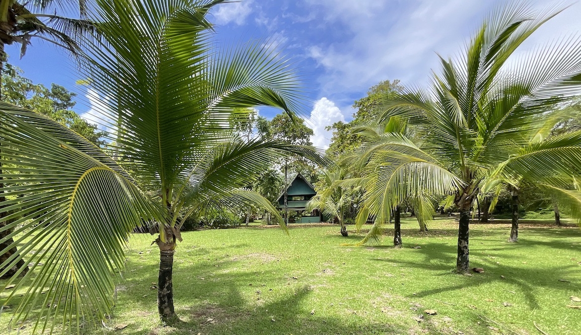 punta-sonada-point-break-estate