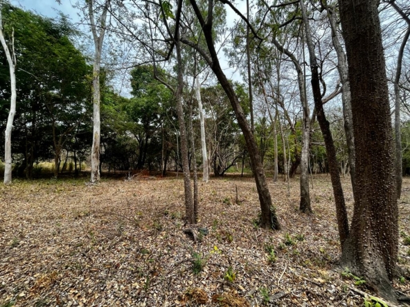 hacienda-iguana-river-lot-p7-surf-colorados