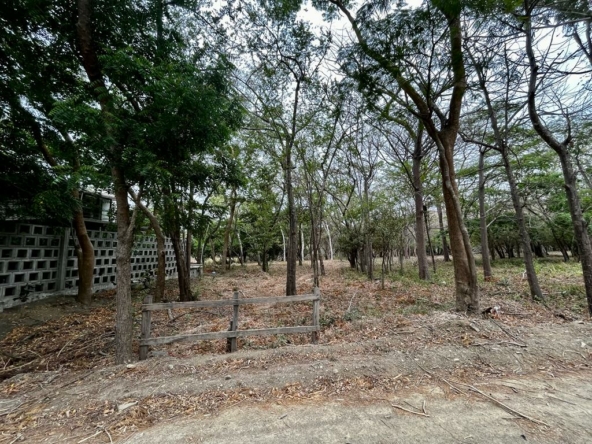 hacienda-iguana-river-lot-p7-surf-colorados