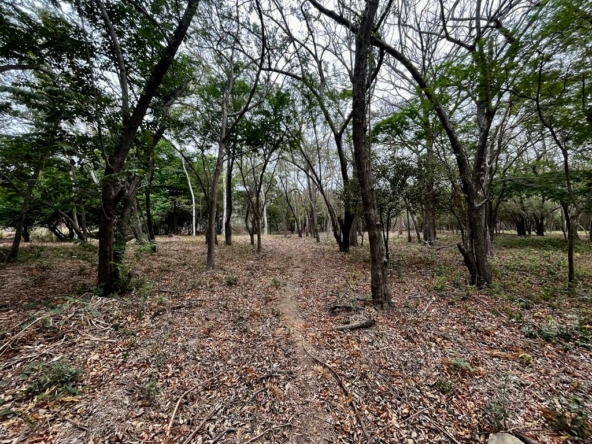 hacienda-iguana-river-lot-p7-surf-colorados