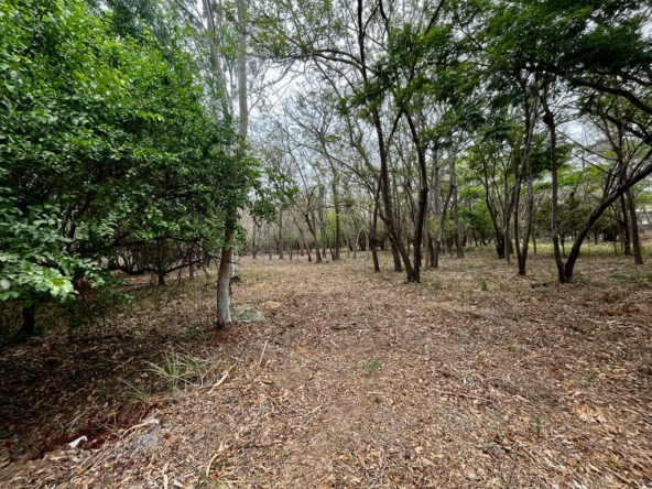 hacienda-iguana-river-lot-p7-surf-colorados
