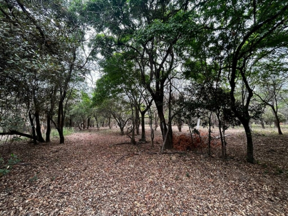 hacienda-iguana-river-lot-p7-surf-colorados