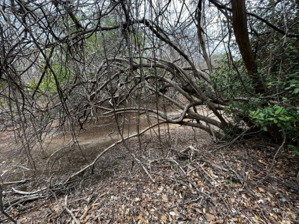 hacienda-iguana-river-lot-p7-surf-colorados