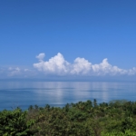 Pilon_House_For_Sale