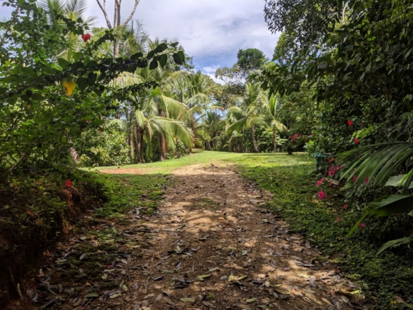 private-oceanview-villa-on-6-+-acres
