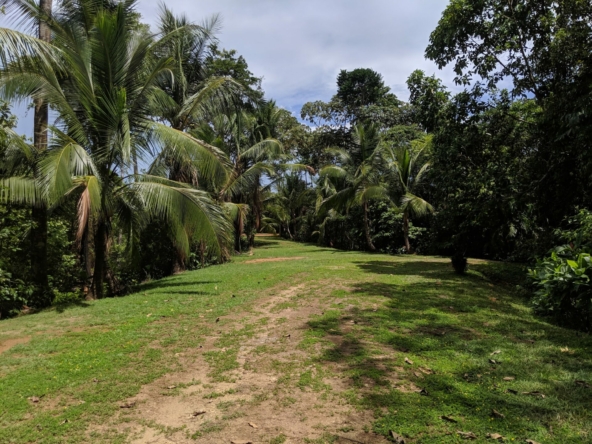 private-oceanview-villa-on-6-+-acres