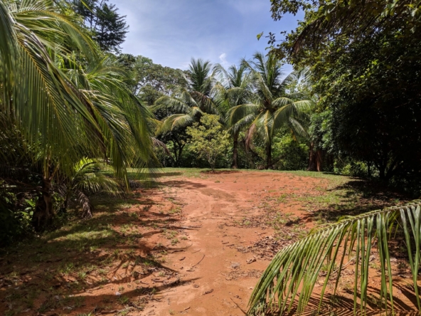 private-oceanview-villa-on-6-+-acres