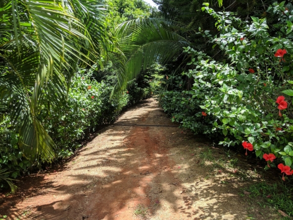 private-oceanview-villa-on-6-+-acres