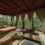 templo-transcendent-surf-wellness-oasis