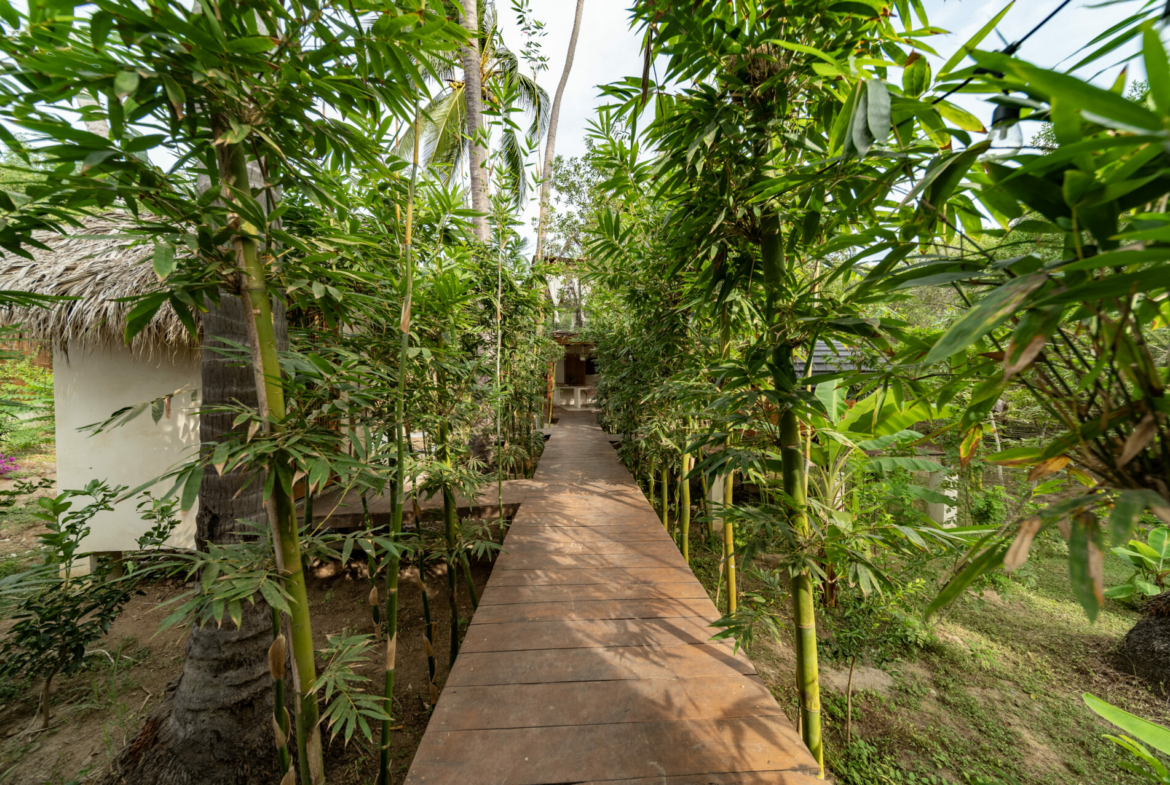 templo-transcendent-surf-wellness-oasis