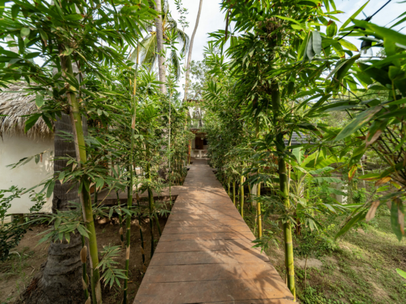 templo-transcendent-surf-wellness-oasis