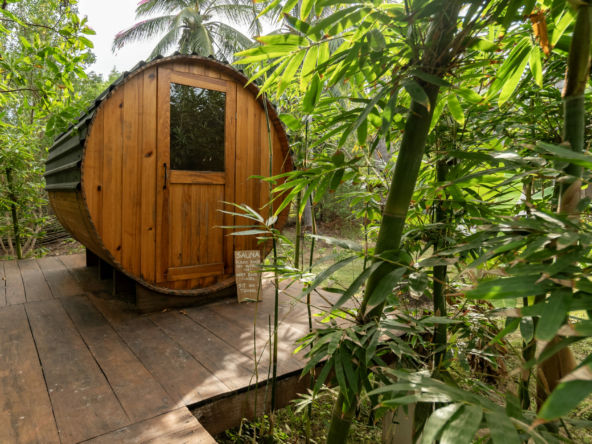 templo-transcendent-surf-wellness-oasis