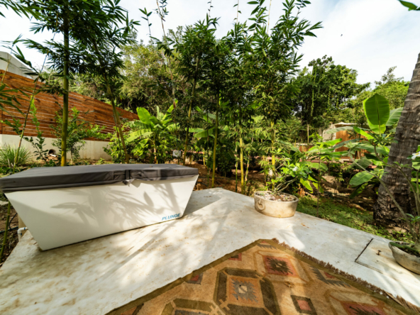 templo-transcendent-surf-wellness-oasis