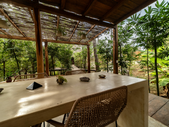 templo-transcendent-surf-wellness-oasis