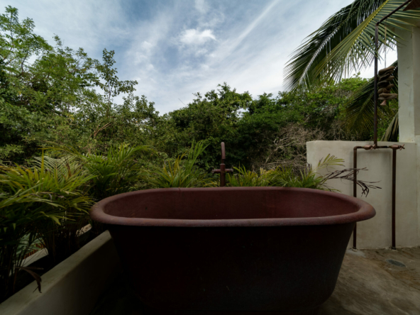 templo-transcendent-surf-wellness-oasis