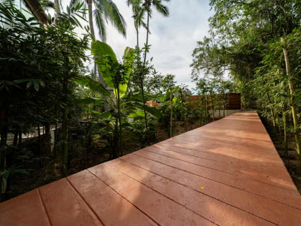 templo-transcendent-surf-wellness-oasis
