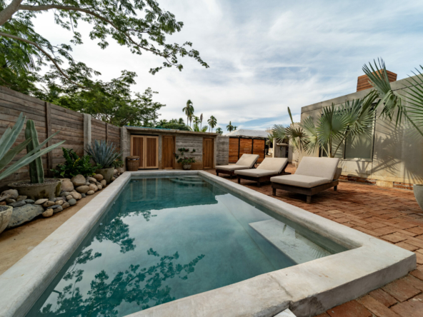 templo-transcendent-surf-wellness-oasis
