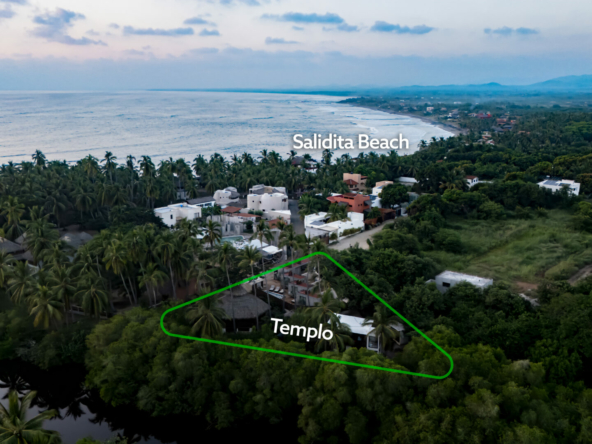 templo-transcendent-surf-wellness-oasis