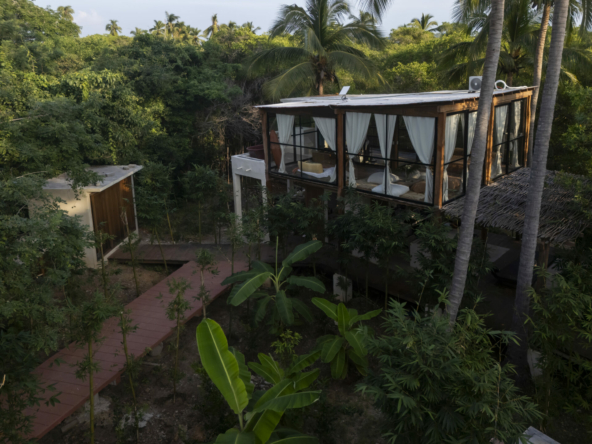 templo-transcendent-surf-wellness-oasis