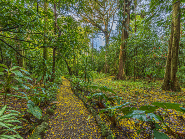 680-acre-fully-titled-estate-with-world-class-surf-fishing-and-marina
