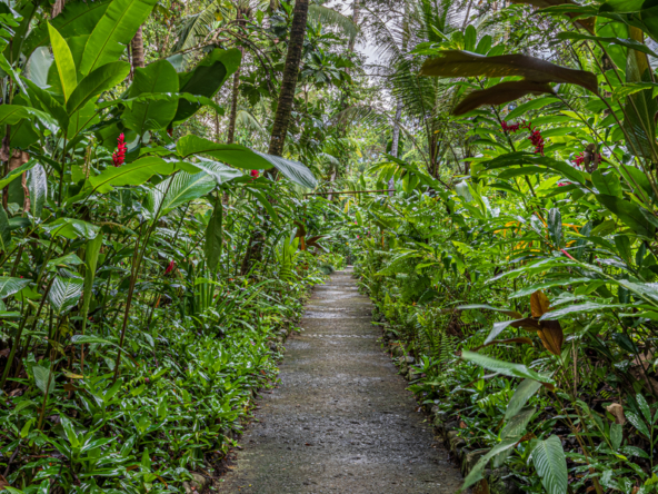 680-acre-fully-titled-estate-with-world-class-surf-fishing-and-marina