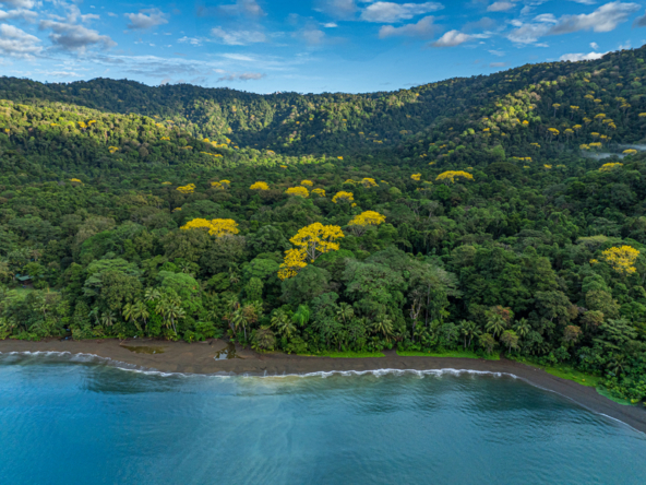 680-acre-fully-titled-estate-with-world-class-surf-fishing-and-marina